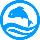 Рыболовный билет