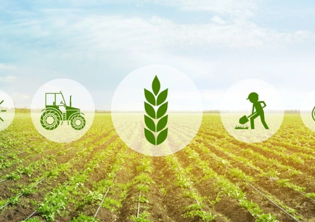 Работа с трактором: весенний сев