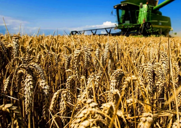 Сельская идиллия: закат над полями